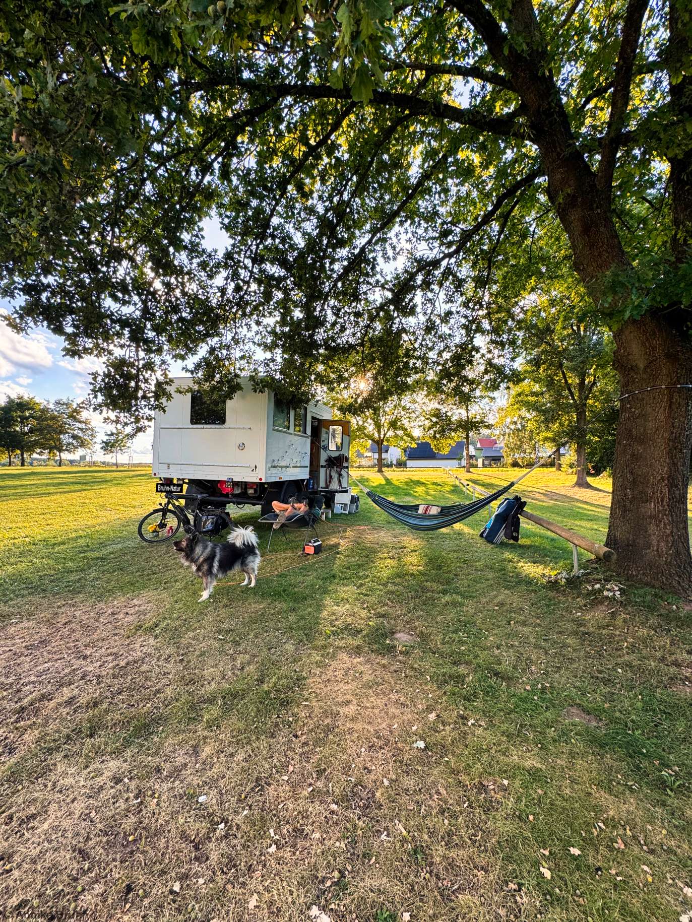 Platz auf der Sommerwiese